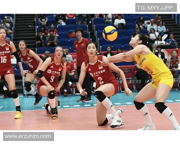 杭州排球队阵地战革新探索新战术提升竞技水平与团队协作能力